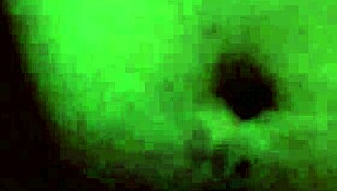 germayne flores de roman infiel casada puebla las animas