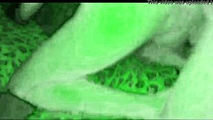 Watch This Sexy Slut Bend Over For Big Cock In Night Vision Close-Up