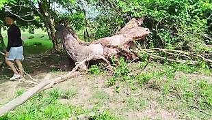 tender abby explores big cock in doggystyle contrast