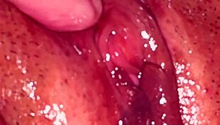 כוס ורודה חובבנית 132 ימים אחרי איבוד הבתולים