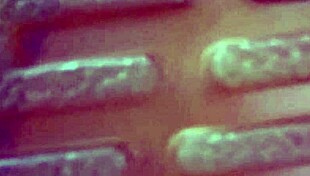 Domme Mommy Delivers Intense Ball Busting Pleasure