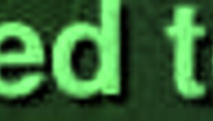 Young Latina Teenager Enjoys Her Day in the Sun