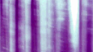 i rode that long hard cock till i cummed with intense pounding.