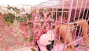 pinkroom ep 5 features xxlyana marie teasing ass eating by nade nasty