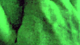 Him N Her - That Ass 001