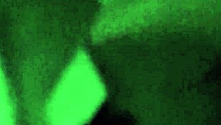 Him N Her - That Ass 001