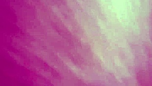 celebrating the joyful start of the new year 2020