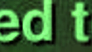 Young Latina Teenager Enjoys Her Day in the Sun