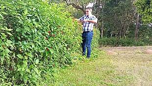 jardineiro mega-dotado macetando a pica grossa até gozar