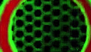 Macana man cums on Nina Kayy's bubble ass with BBC!