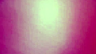 celebrating the joyful start of the new year 2020