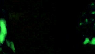 germayne flores de roman infiel casada puebla las animas