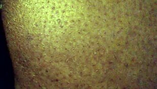 I captured this video on September 25, 2015