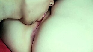 Close Up Pink Pussy Stepsister Sucking And Licking Until She Orgasms