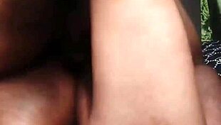 nigarchrist update 1537 petal 20250629 154845 jun 29 2025