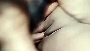 nigarchrist update 1440 petal