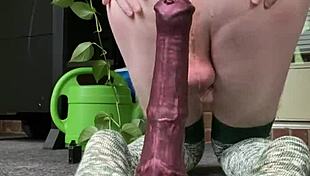 bouncing on huge horse dildo, stretching wide open
