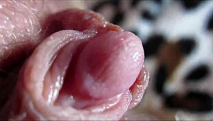 Big clit orgasm closeup homemade amateurs explode in intense pleasure