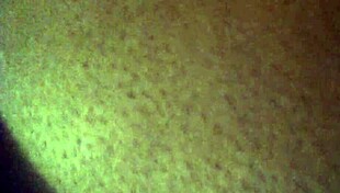 I captured this video on September 25, 2015