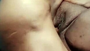 nigarchrist update 1440 petal