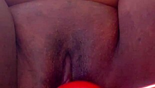 kong toy stretches me