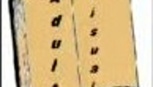 A Wife And Stepmother 3