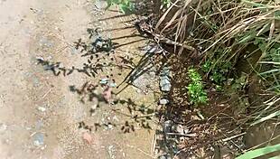 passing cars honk as i fuck her ass on the road