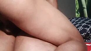 nigarchrist update 1537 petal 20250629 154845 jun 29 2025