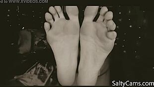 a toes lover craves licking, what's your asl for fetish fun?