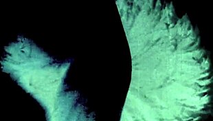 Victorian Gentleman's Erotic Confessions