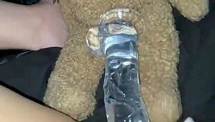 Arabian Snowwhite Fucking Herself by Glass Dildo - Best Saudi Teen 18+ Amateur in Los Angeles Wants Bbc Usa