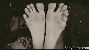 a toes lover craves licking, what's your asl for fetish fun?