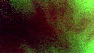 Teen girl masturbates with toy