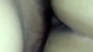 Cojiendo Toda La Noche Hasta Terminar Seco Video Completo