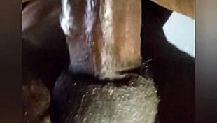 i love fucking my naughty teen friend so hard