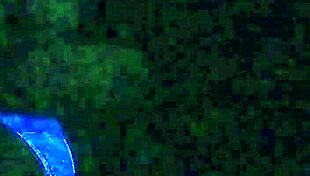 > black-light secret model gets rough oral sex