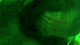 couple explores european intimacy in private moments