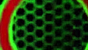 Moaning Milf Sara Jay Fucks Her Dildo She Also Plays With Her Tits