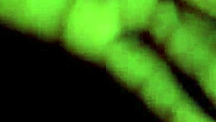 Trailer Park Adventures