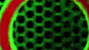 cheating wife charlee chase fucks stranger dude after hookup