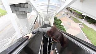 Pregnant Slut Sucks Black Dick