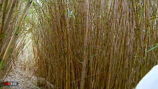 Angela Jerks Off And Gets Fucked!