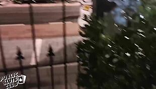 Amsterdam bushes public club whores hardcore sex studio for adults