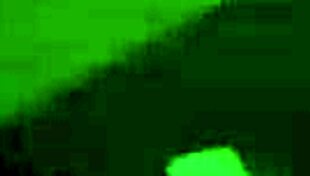 Shake What Mama Gave You!