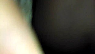 Big perch holds two stunning ebony beauties