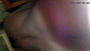 Big perch holds two stunning ebony beauties