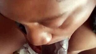 Podívej se na tu intenzivní seanci cucání ptáka!