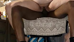 Trailer Park Adventures