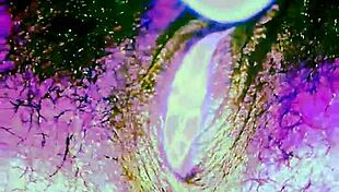 out of dis world masturbation orgasm