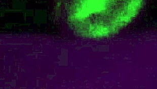 casada, why act like a puta?